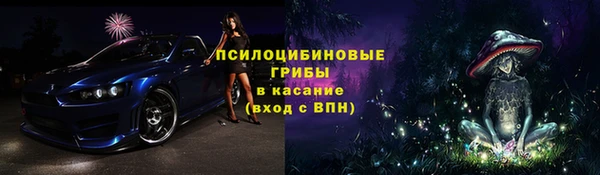 соль ск Белокуриха