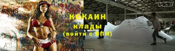 соль ск Белокуриха