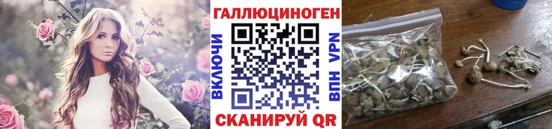 hydra вход  Химки  Галлюциногенные грибы Magic Shrooms 